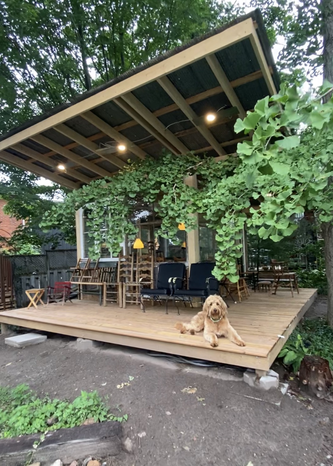 Jack of All Trades photo 1